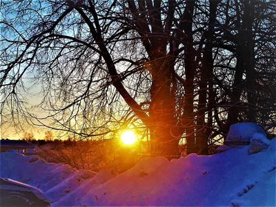 Зимний рассвет — Фото №1348656