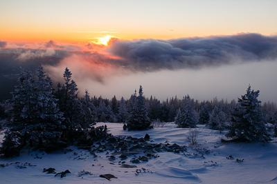 Зимний рассвет | Фотограф Сергей Шабуневич | Фото № 63417