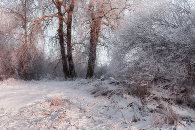 Фотография: Зима. Любовь.Романтика... | Живой Ангарск | LiveAngarsk.ru