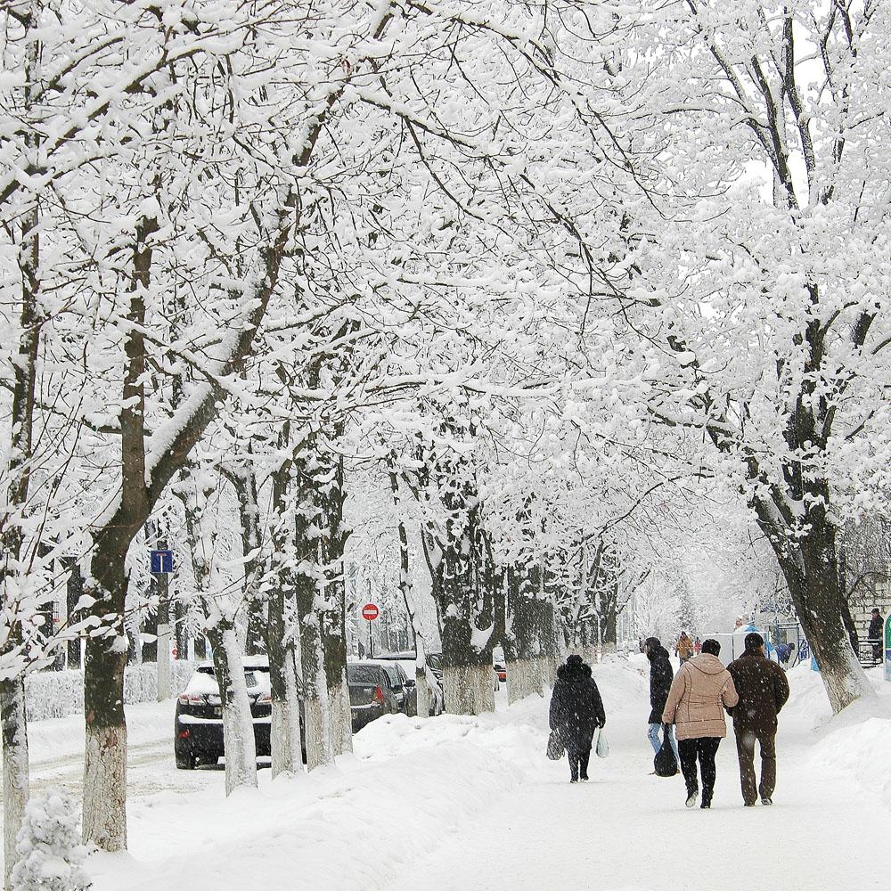 Купить картину Зима в Простоквашино в Москве от художника Биляев Роман