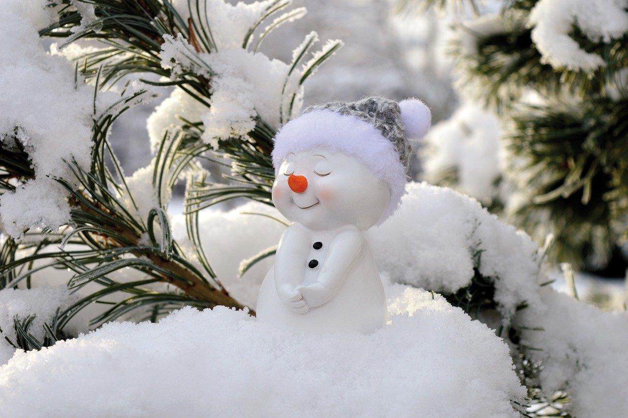 Зима снеговик картинки фотографии