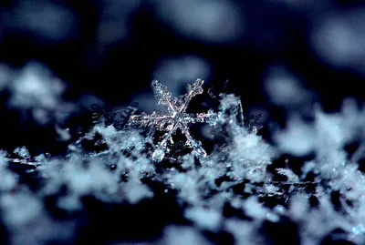 Скачать обои снег, зима, снежинки, кристаллы, snow разрешение 1600x1200  #111317