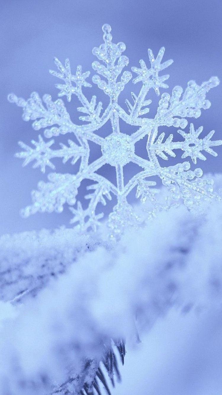 Синяя снежинка, снежинка, зима, снежинки, симметрия png | PNGWing