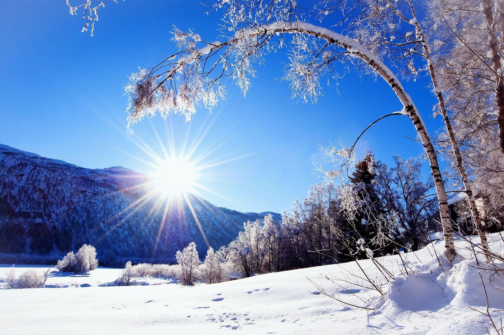 Красивое зимнее утро» — создано в Шедевруме