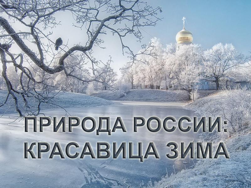 Какая погода будет этой зимой: прогноз погоды на декабрь, январь, февраль -  1 декабря 2023 - ФОНТАНКА.ру