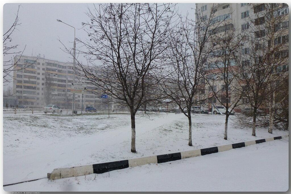 Зима вернулась в Ставрополь и раскрыла снежные объятья - Stavropol.Media