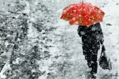 Зимний дождь) :: Лилия Масло – Социальная сеть ФотоКто