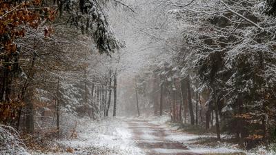 Осенний дождь со снегом - 70 фото