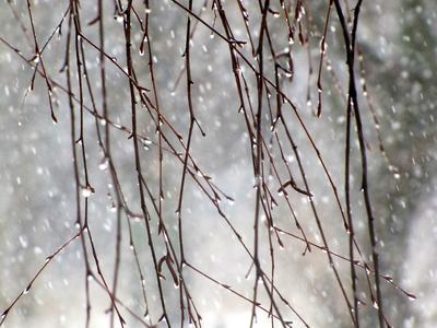 Зимний дождь :: Михаил Фотолюбитель – Социальная сеть ФотоКто