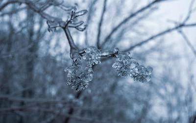 Скачать картинки Зимний дождь, стоковые фото Зимний дождь в хорошем  качестве | Depositphotos