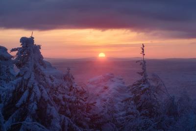 Фото дня в Сыктывкаре: первый зимний рассвет