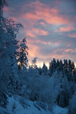 Зимний рассвет над рекой — Фото №1317233