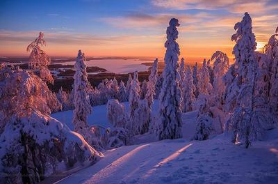 Зимний рассвет. Photographer Sergey Shabunevich
