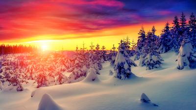 Фото Зимний рассвет, более 99 000 качественных бесплатных стоковых фото