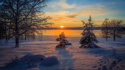 Зимний Рассвет: 2 тыс изображений найдено в Яндекс Картинках