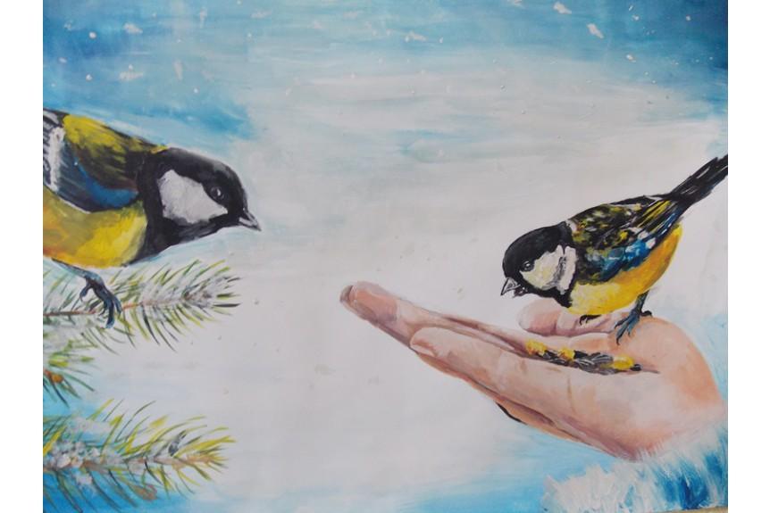 Развивающие карточки ТЦ Сфера Зимующие птицы купить по цене 259 ₽ в  интернет-магазине Детский мир