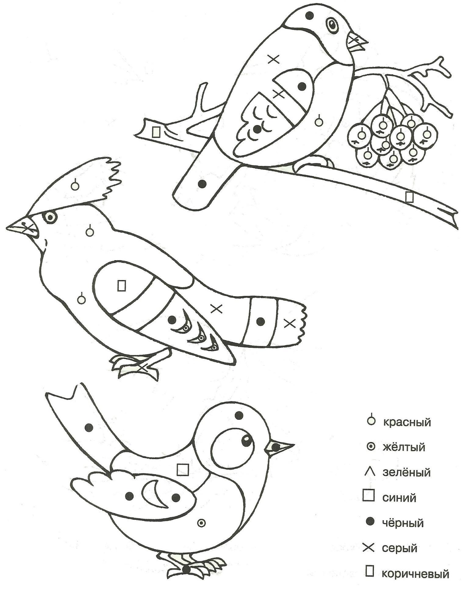Раскраска Птицы в кормушке | Раскраски времена года - зима. Зимние раскраски,  раскраска зима