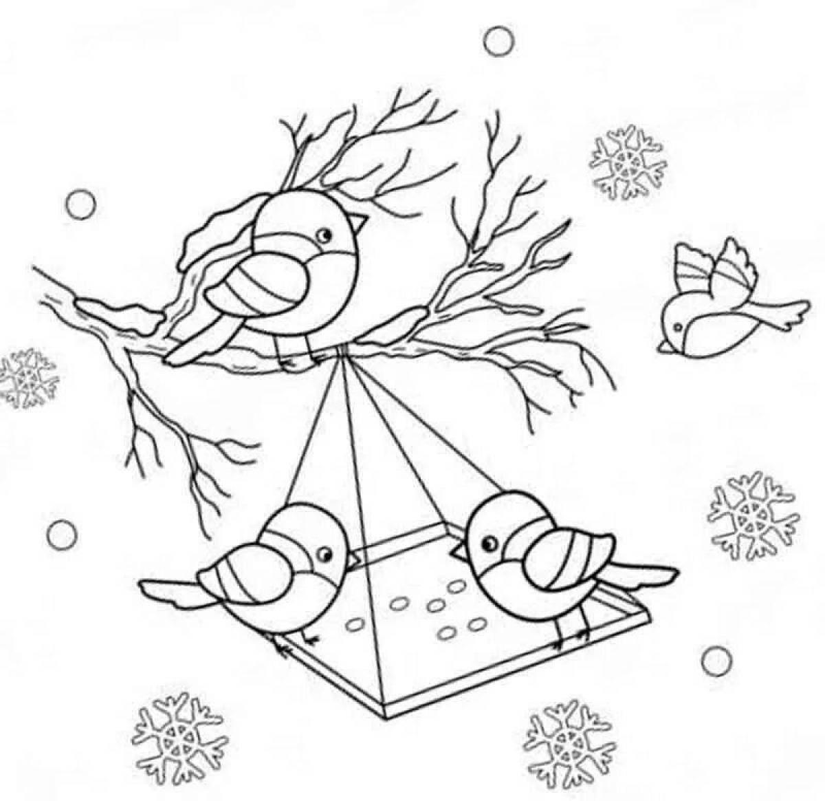 Зимующие птицы | Coloring books, Coloring book pages, Coloring pages