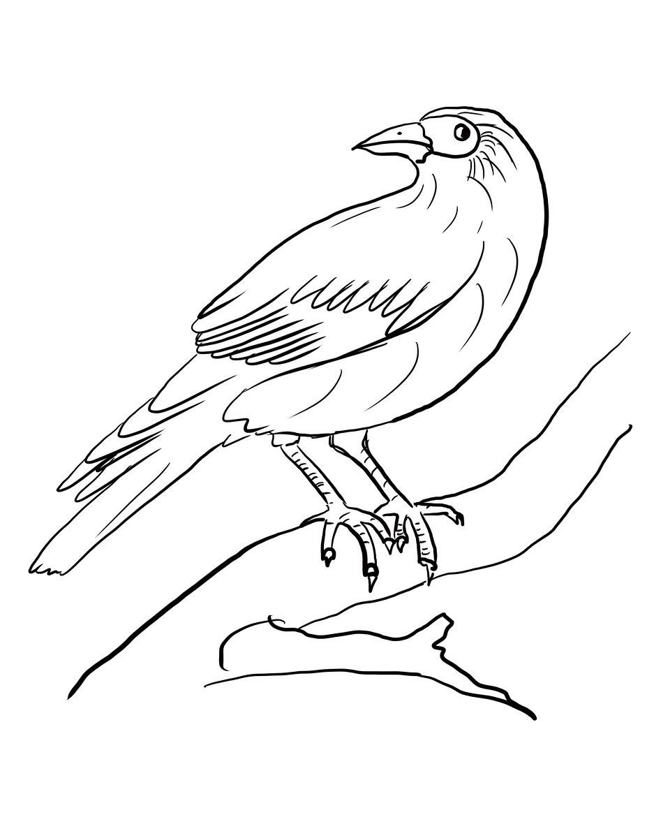 Раскраски Зимующие птицы - распечатать в формате А4