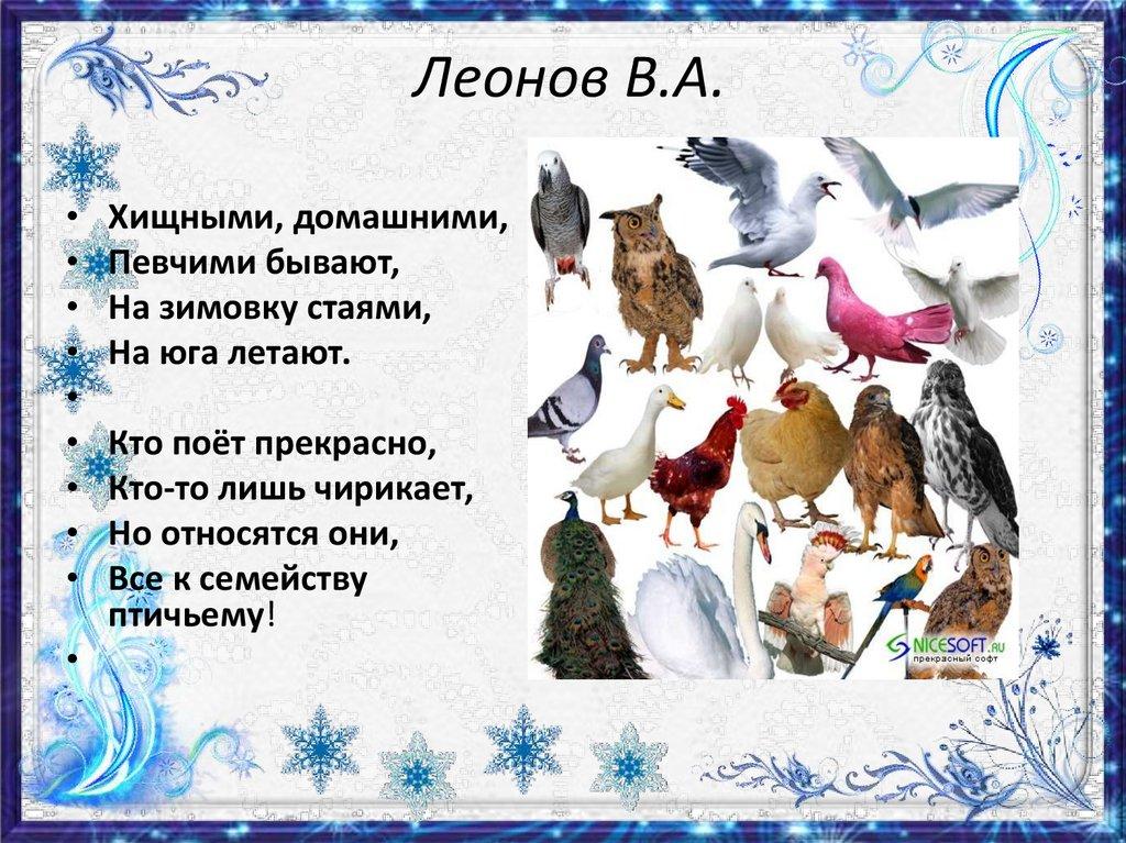 ЗИМУЮЩИЕ ПТИЦЫ СИБИРИ!(презентация для детей). Wintering birds of Siberia.  - YouTube