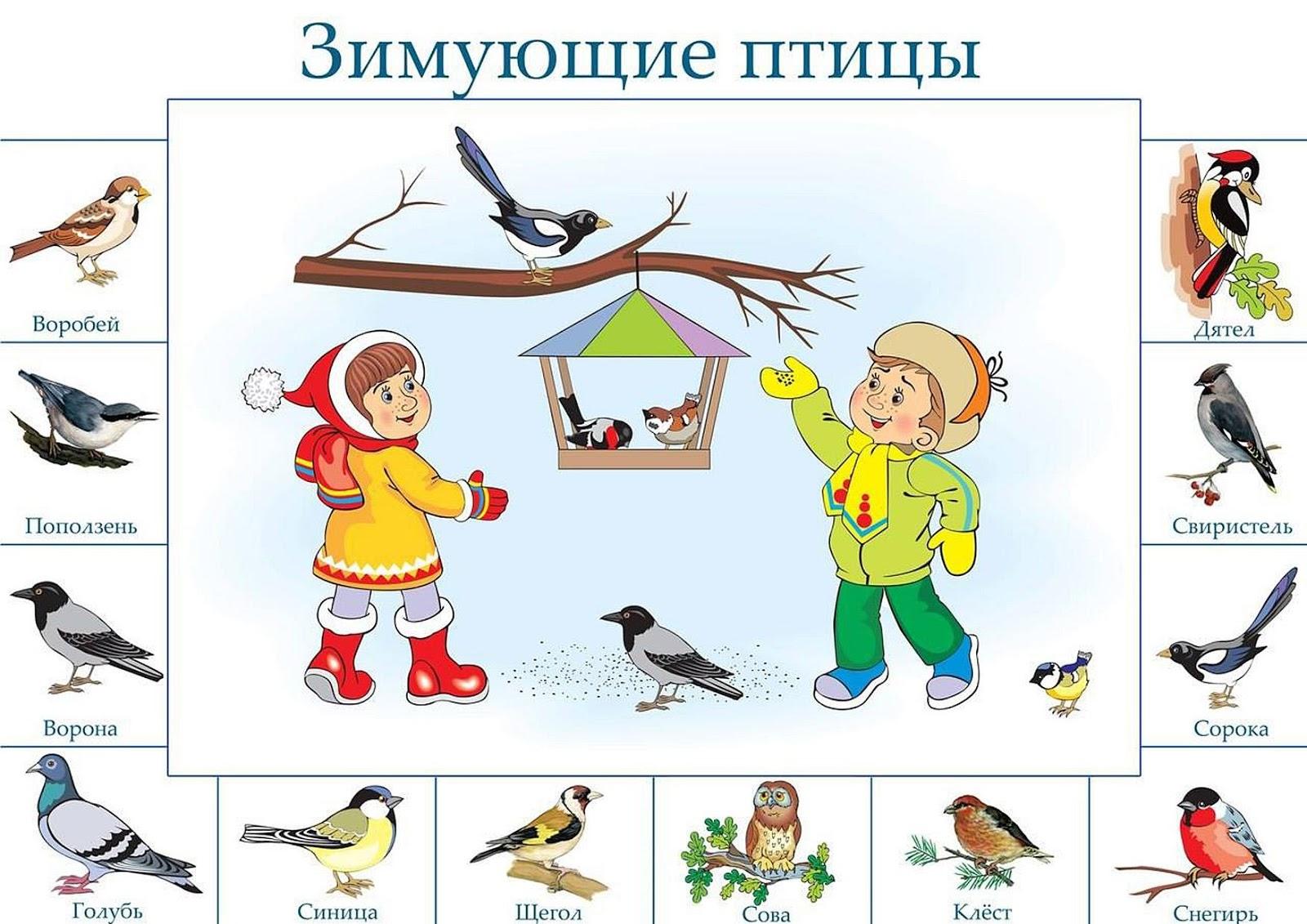 Зимующие птицы Урала 2 класс