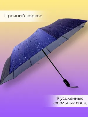 Дождь Зонтик Защита - Бесплатное фото на Pixabay - Pixabay