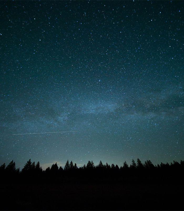 Яскраві зимові сузір'я та зорепади: чим здивує зоряне небо грудня, фото -  Погляд